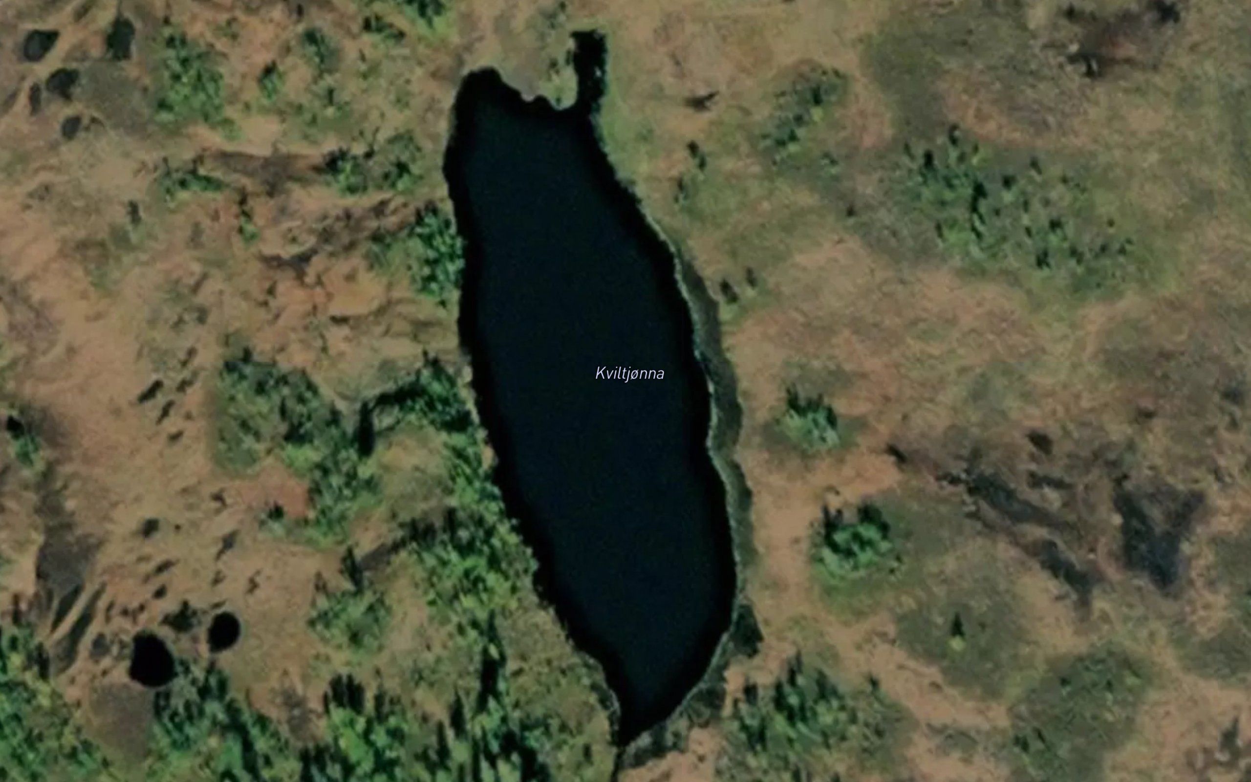 Kviltjorna
