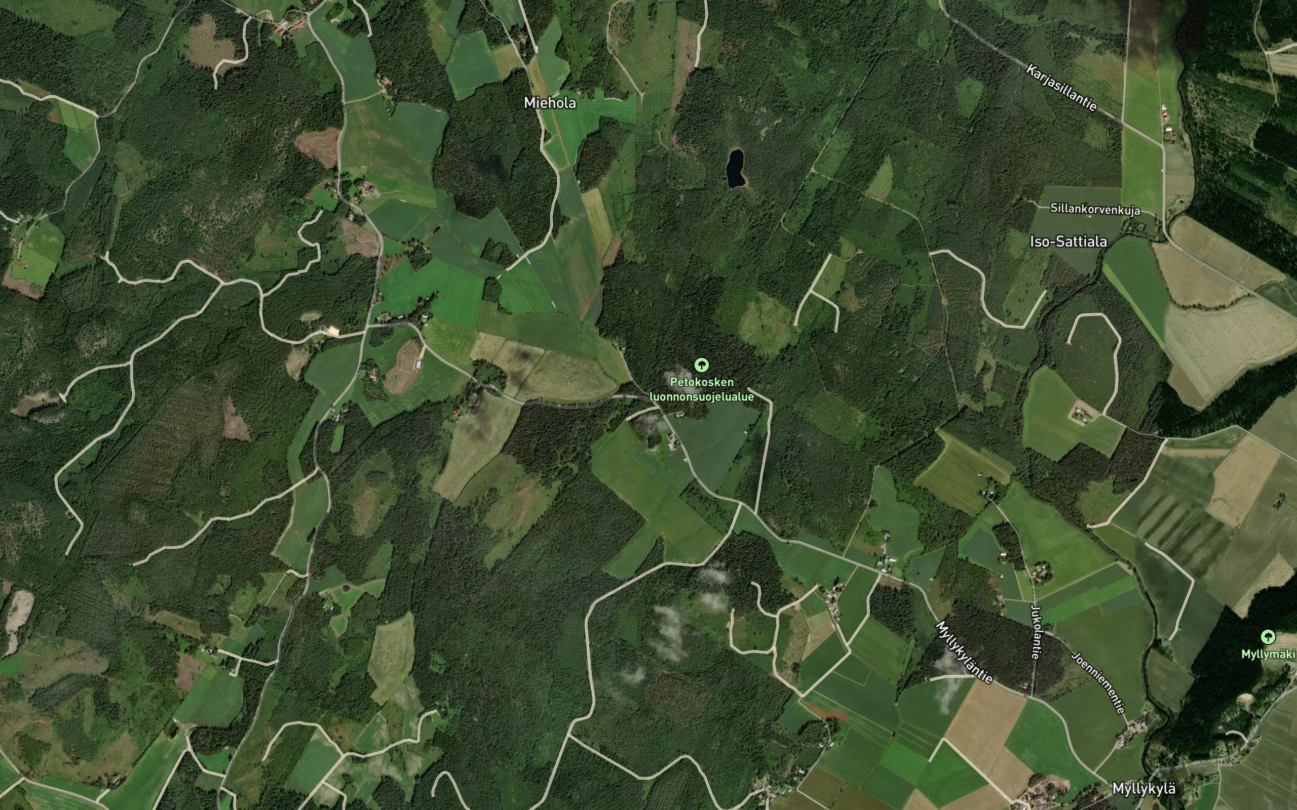 Petokoski