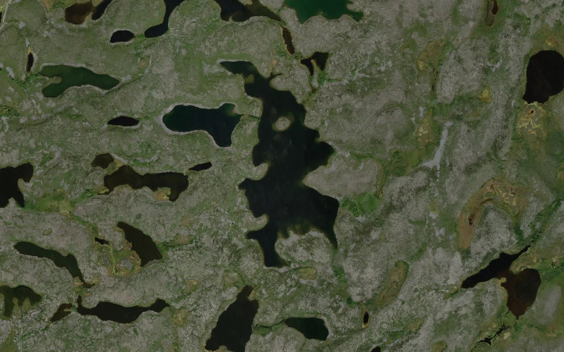 Satellite map of the Beaton Lake