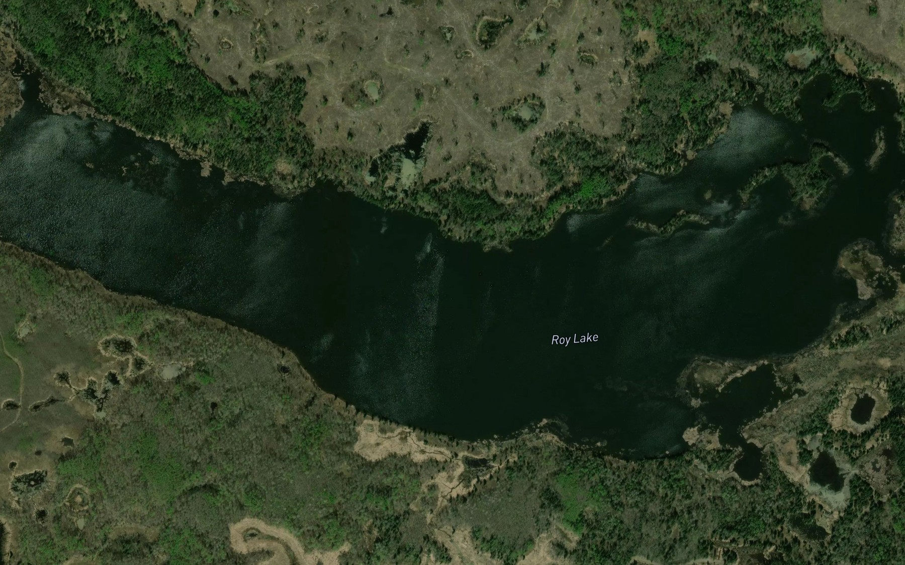 Satellite map of the Roy Lake