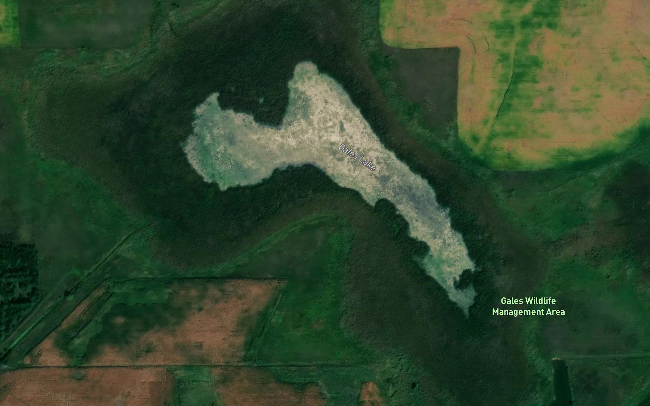 Gales Lake