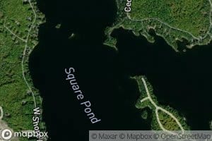 Square Pond