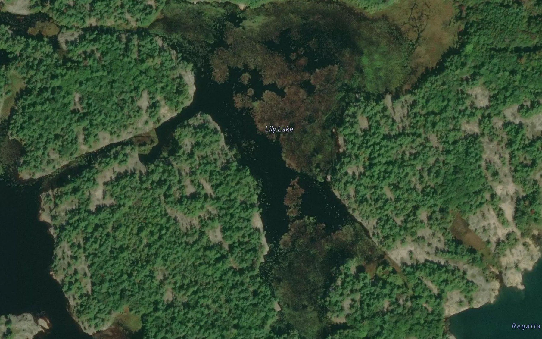 Satellite map of the Lily Lake
