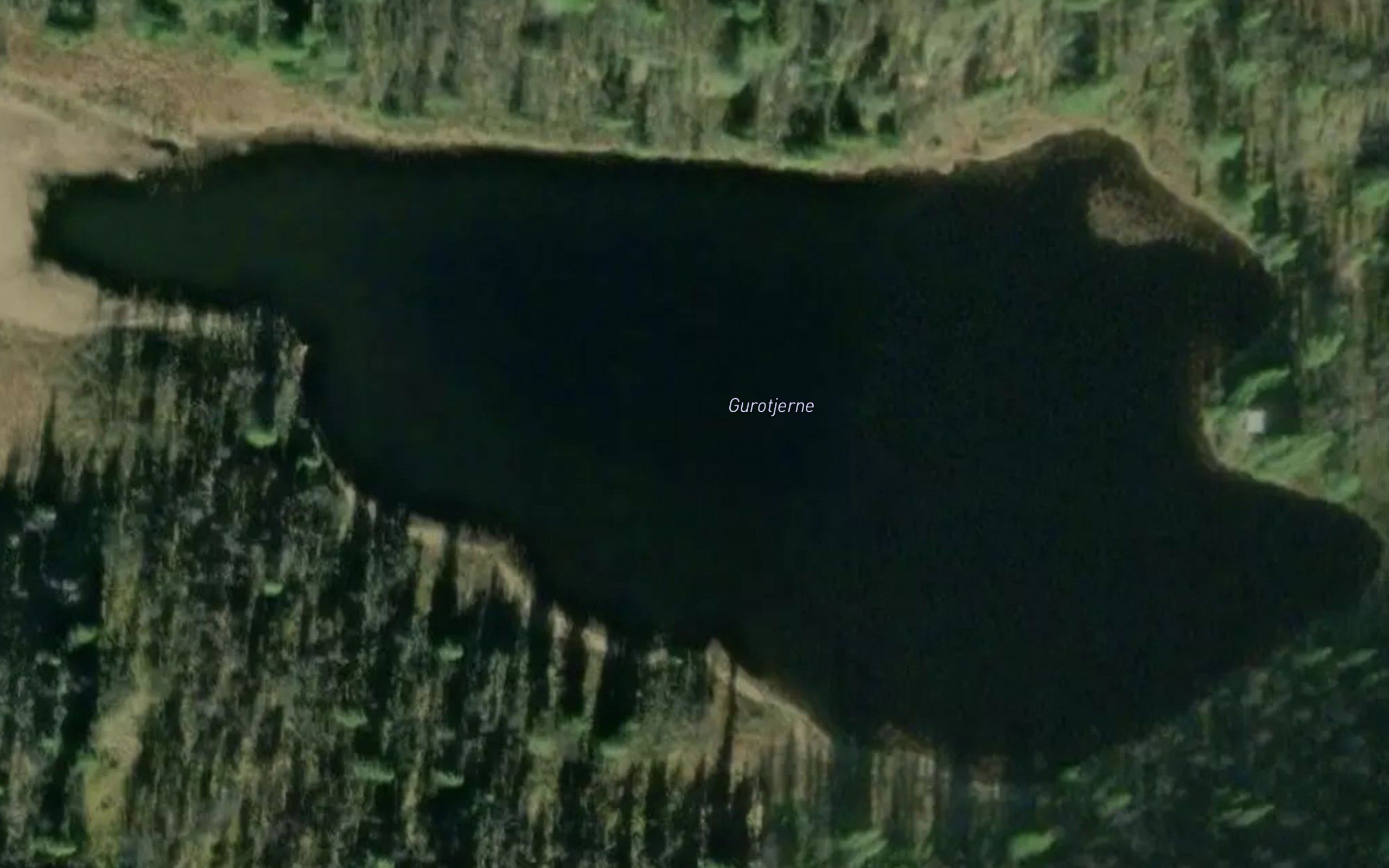 Guratjern