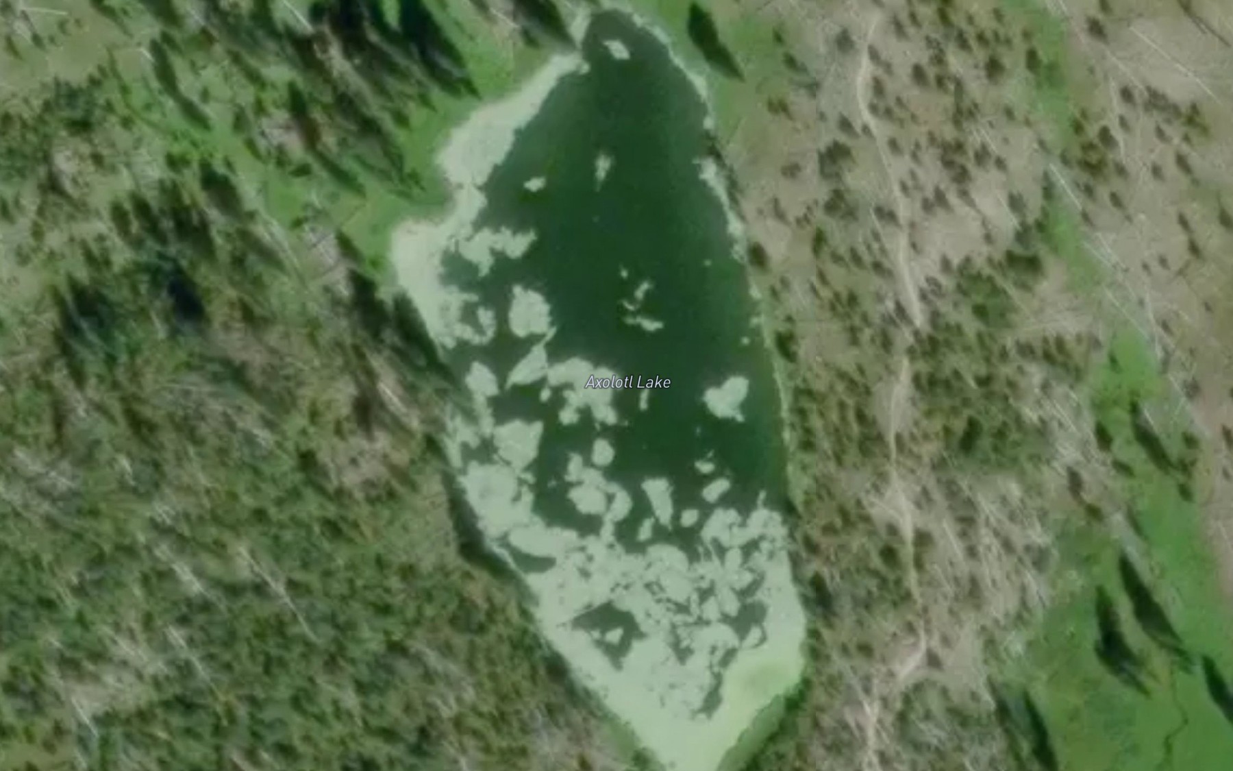 Satellite map of the Axolotl Lake