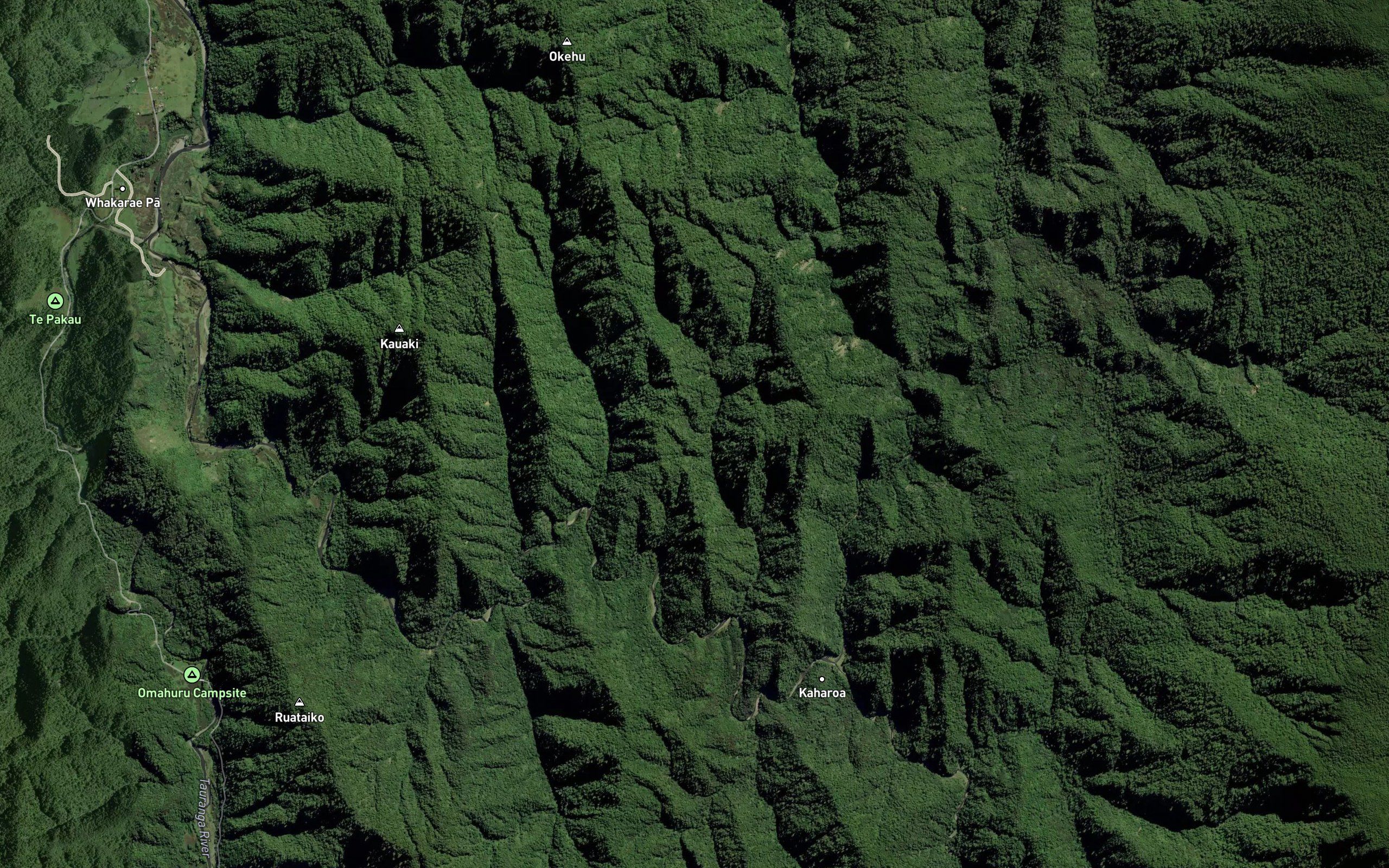 Matawhero Stream