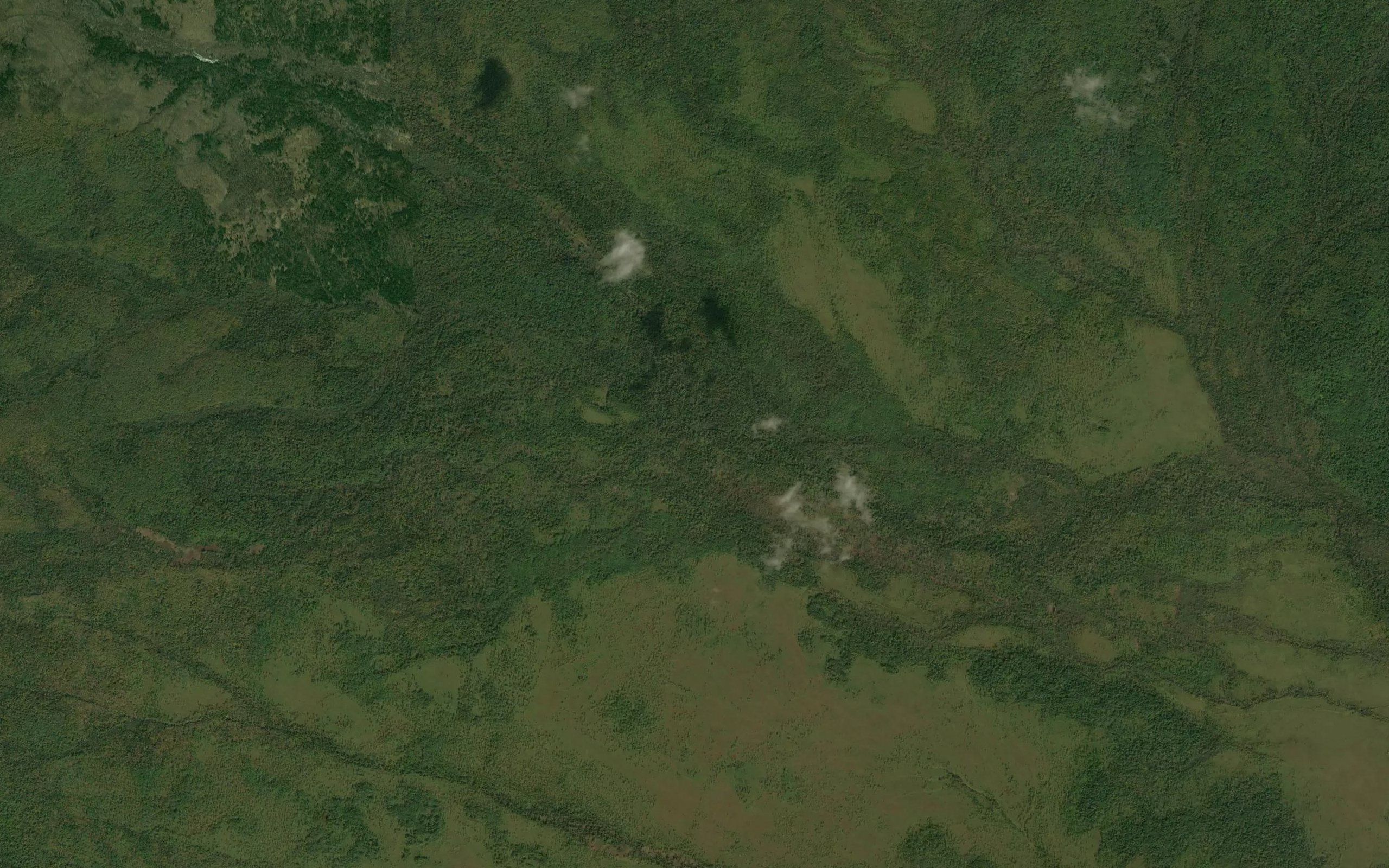Levaya Diktanga