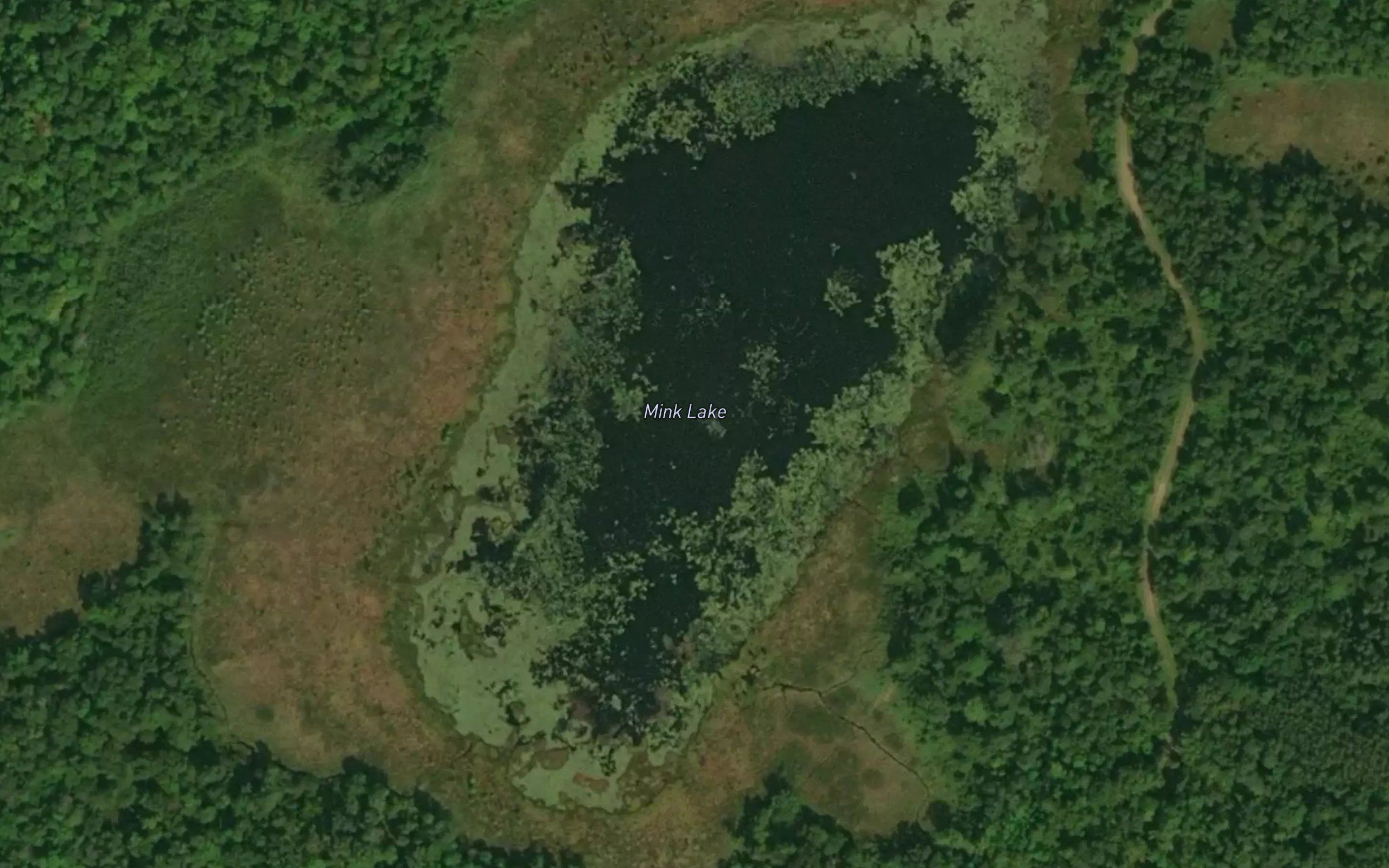 Mink Lake
