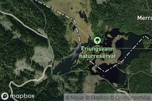 Triungsvatna