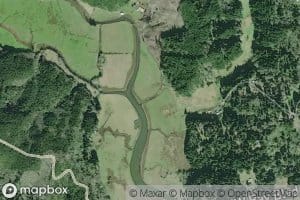 Chetco Slough