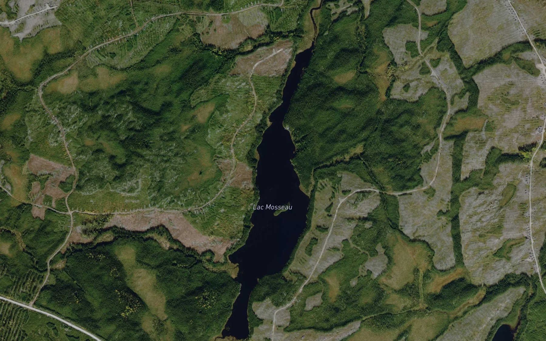 Satellite map of the Lac Mosseau