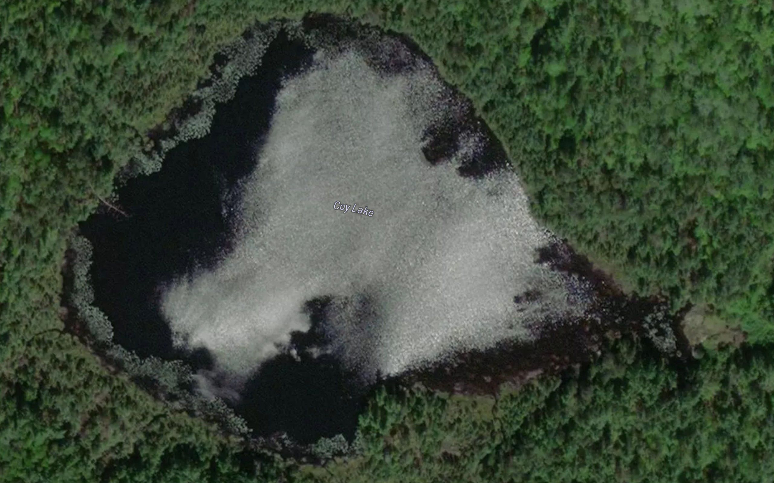 Coy Lake