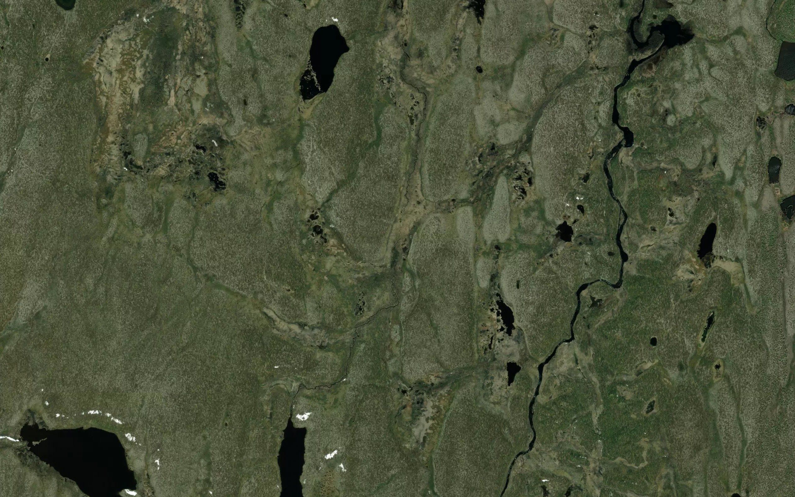 Riigajakka