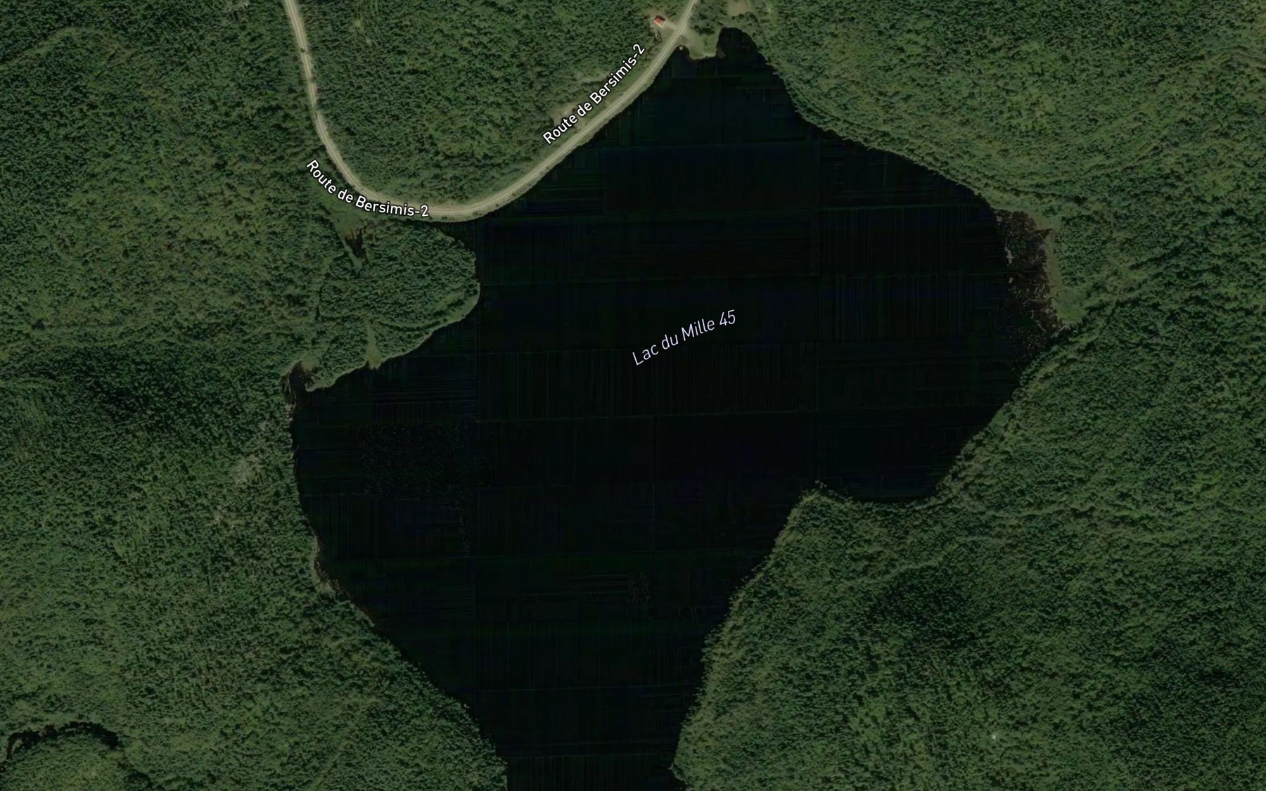 Satellite map of the Lac du Mille 45