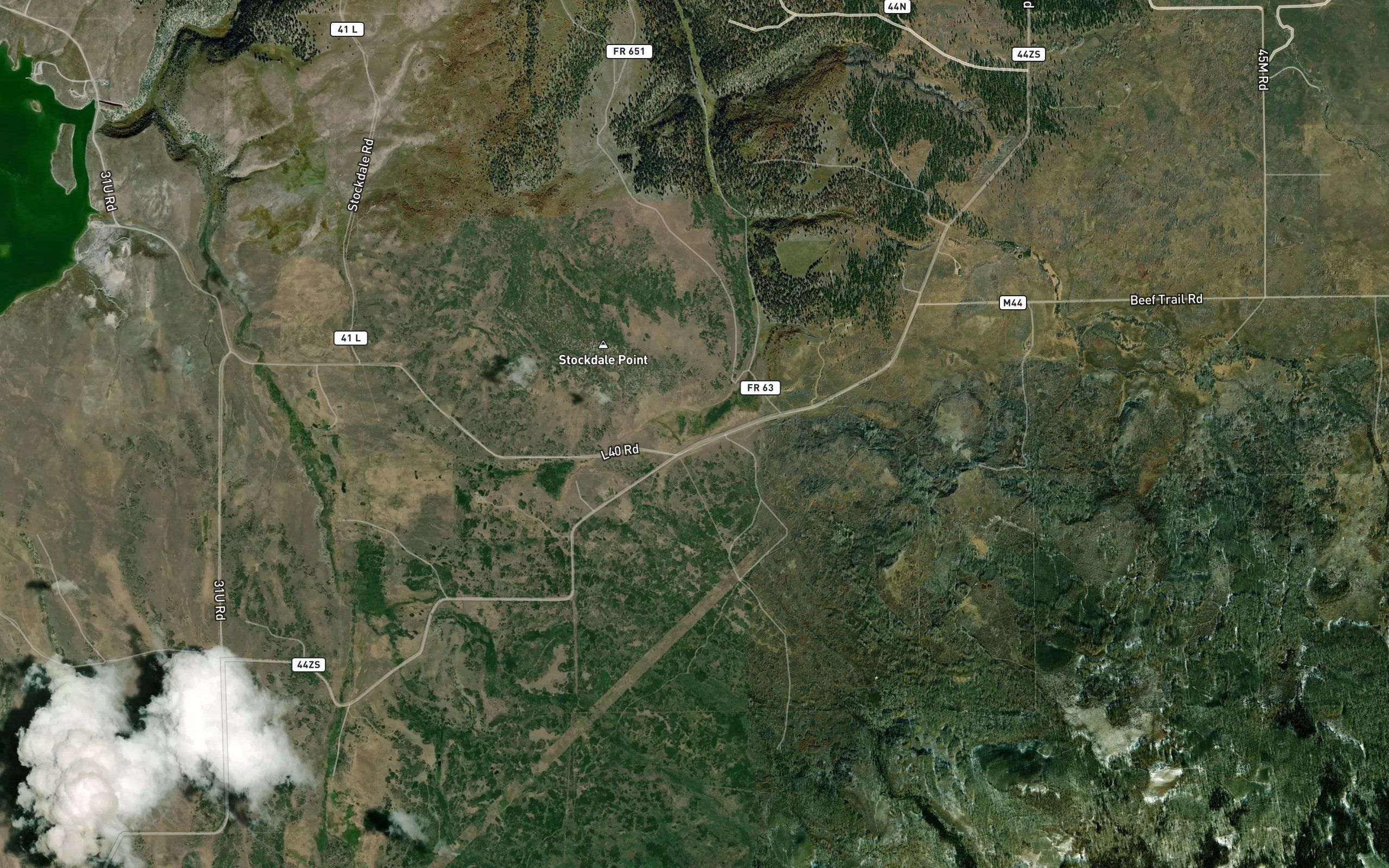Nelson Springs
