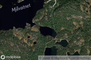 Tolvbutjorn