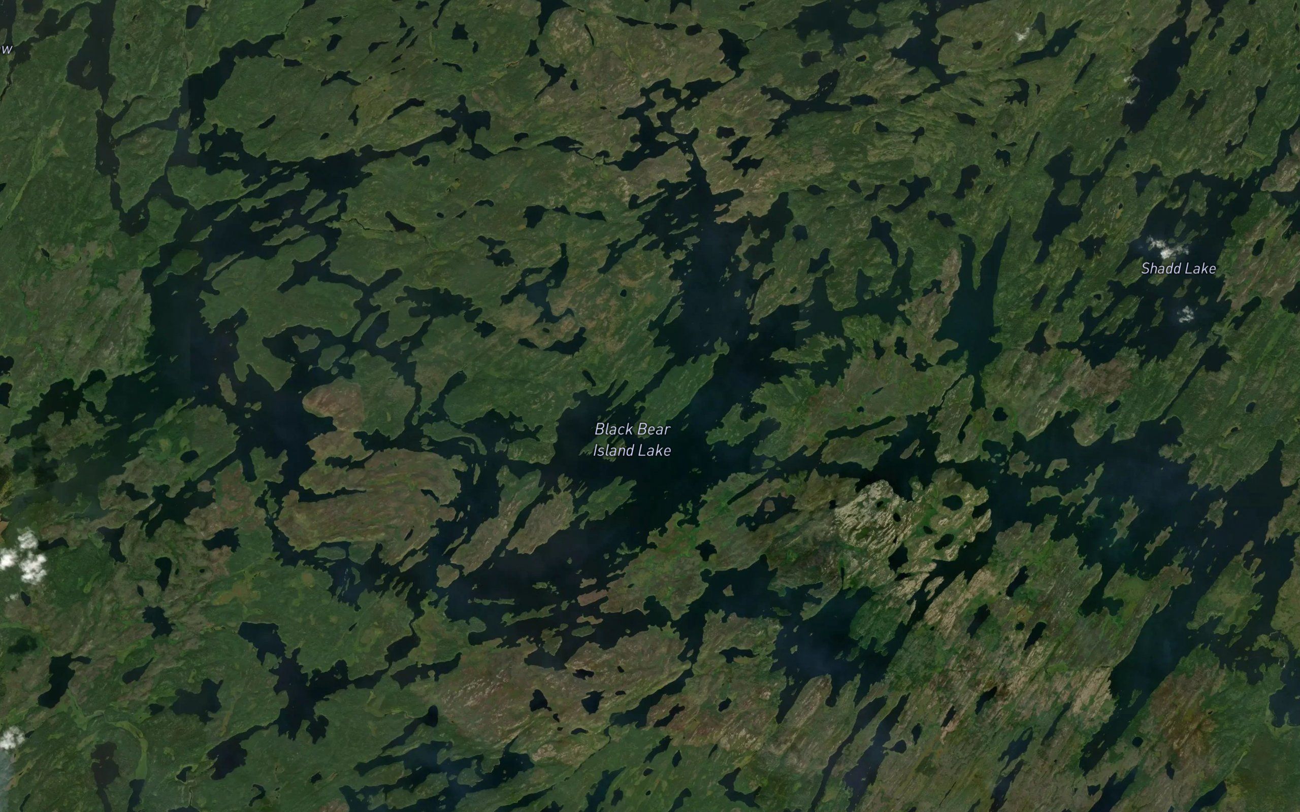 Black Bear Island Lake