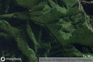 Hae Hae Te Moana River South Branch