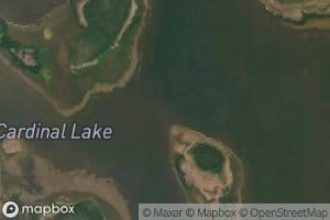 Cardinal Lake