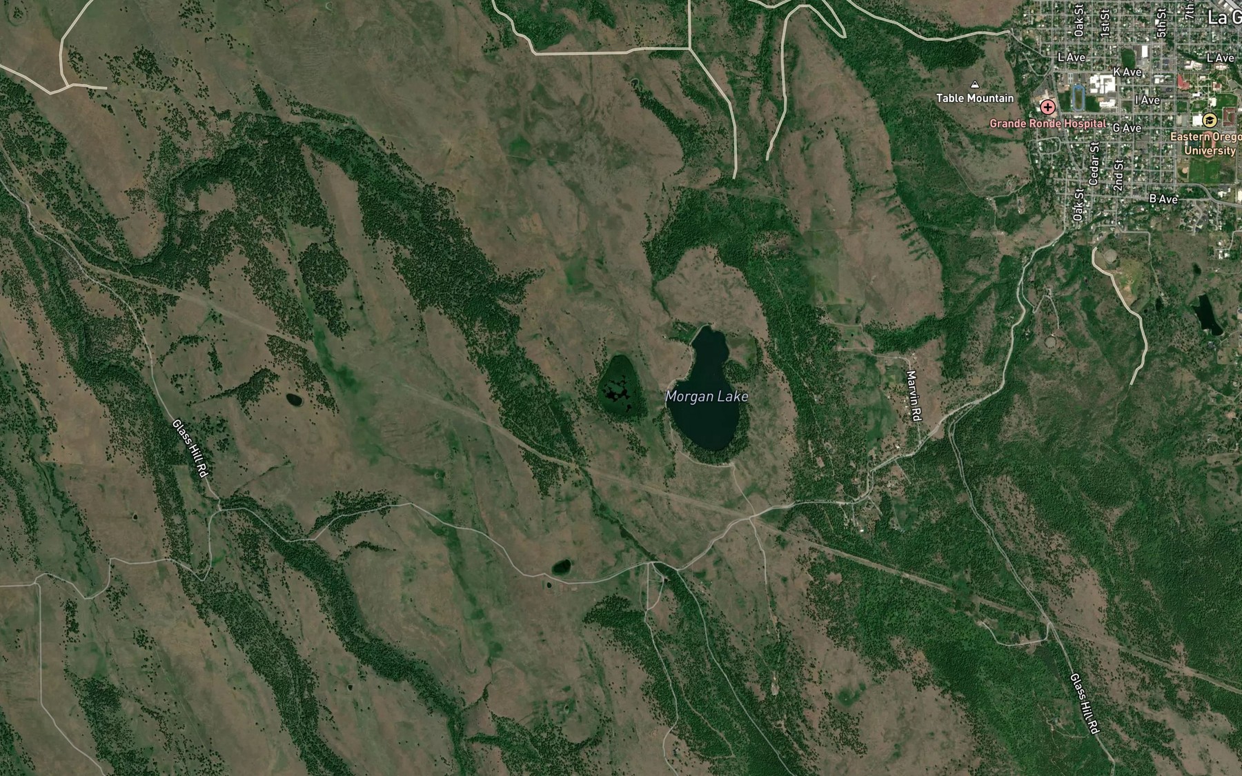 Satellite map of the Twin Lake