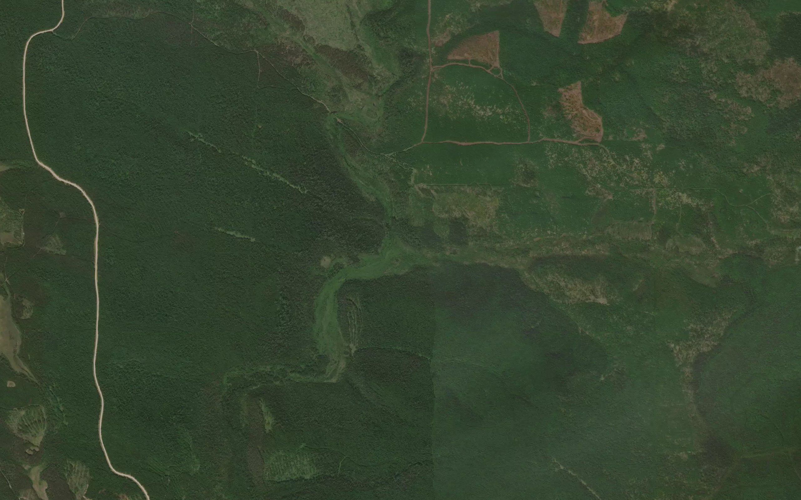 Levaya Talaya