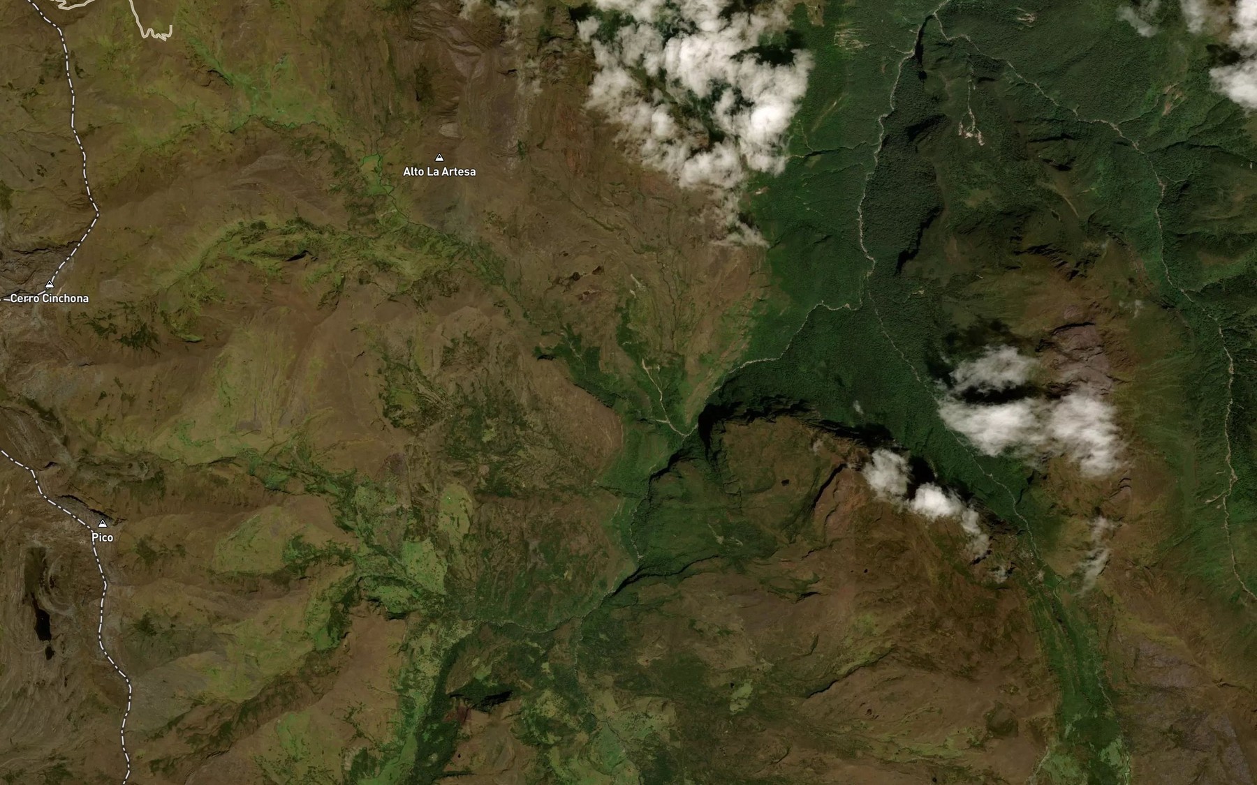 Satellite map of the Rio Playnas