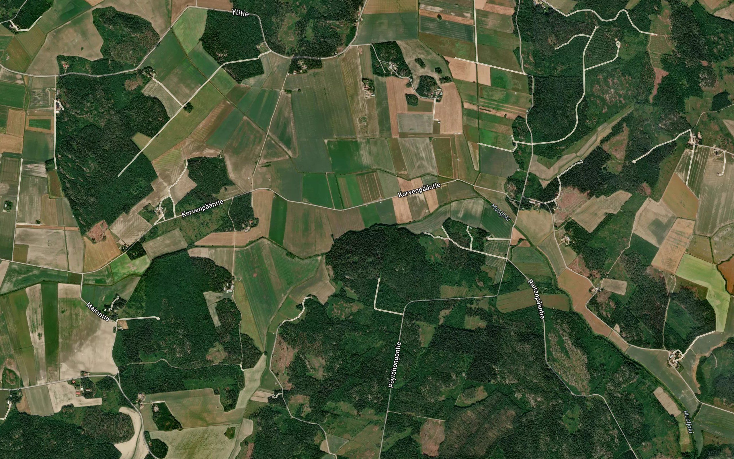 Holukoski