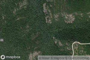 East Fork Lookout Creek