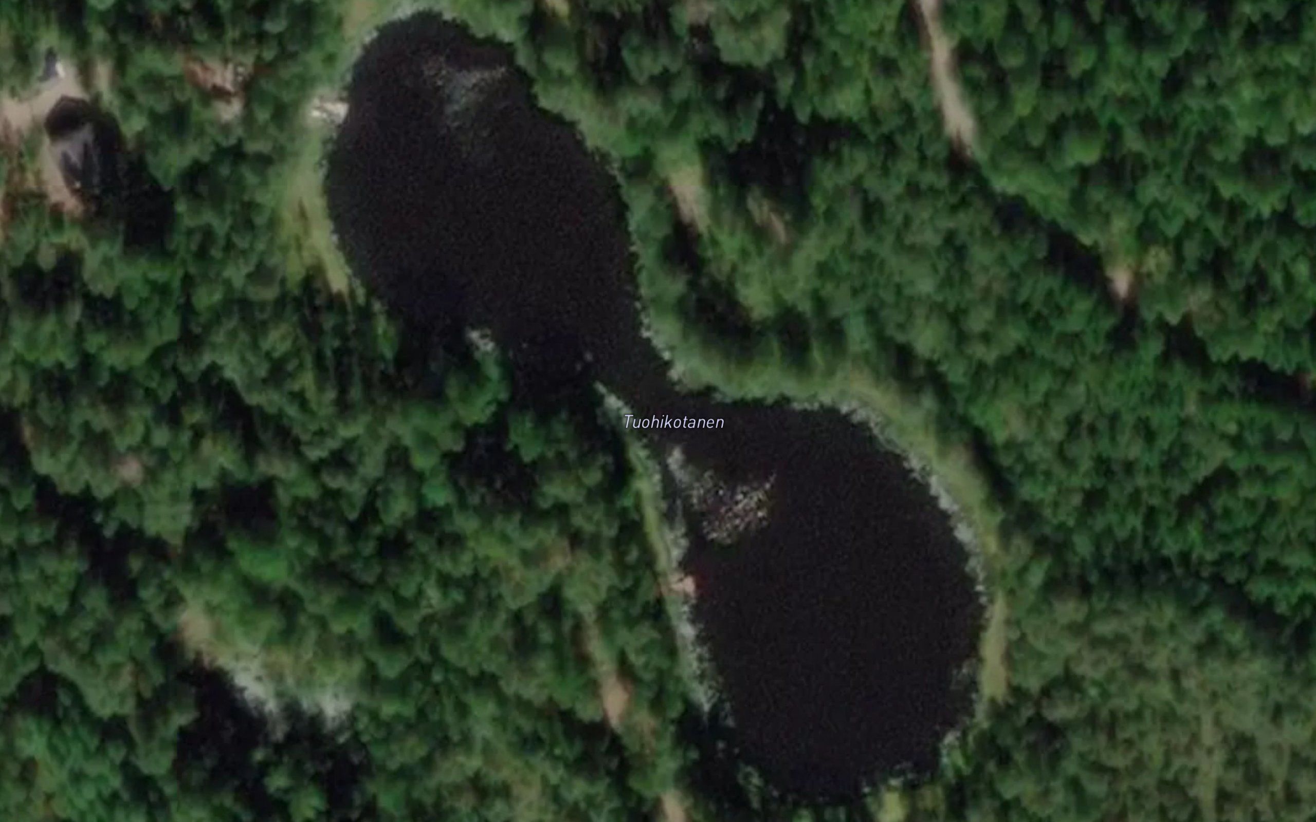 Tuohikotanen