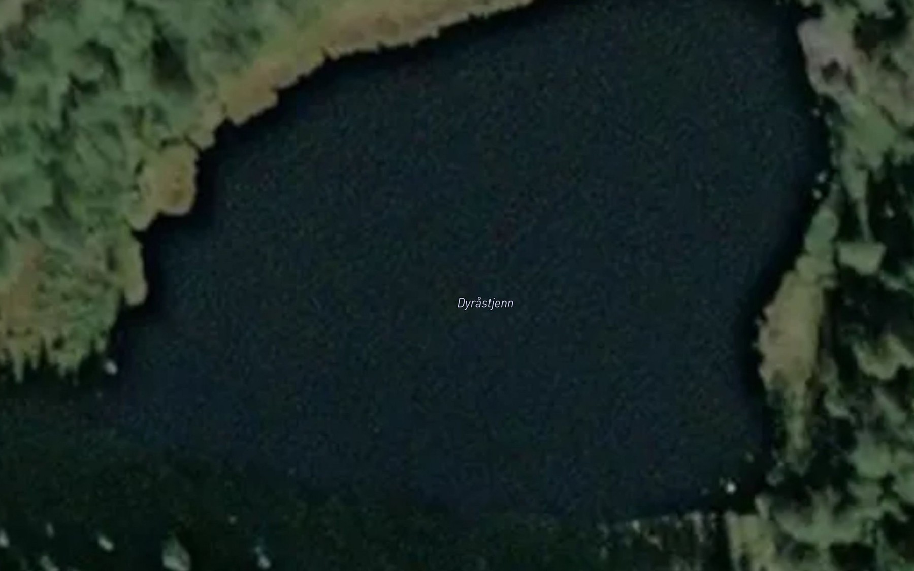 Satellite map of the Dyrastjenn