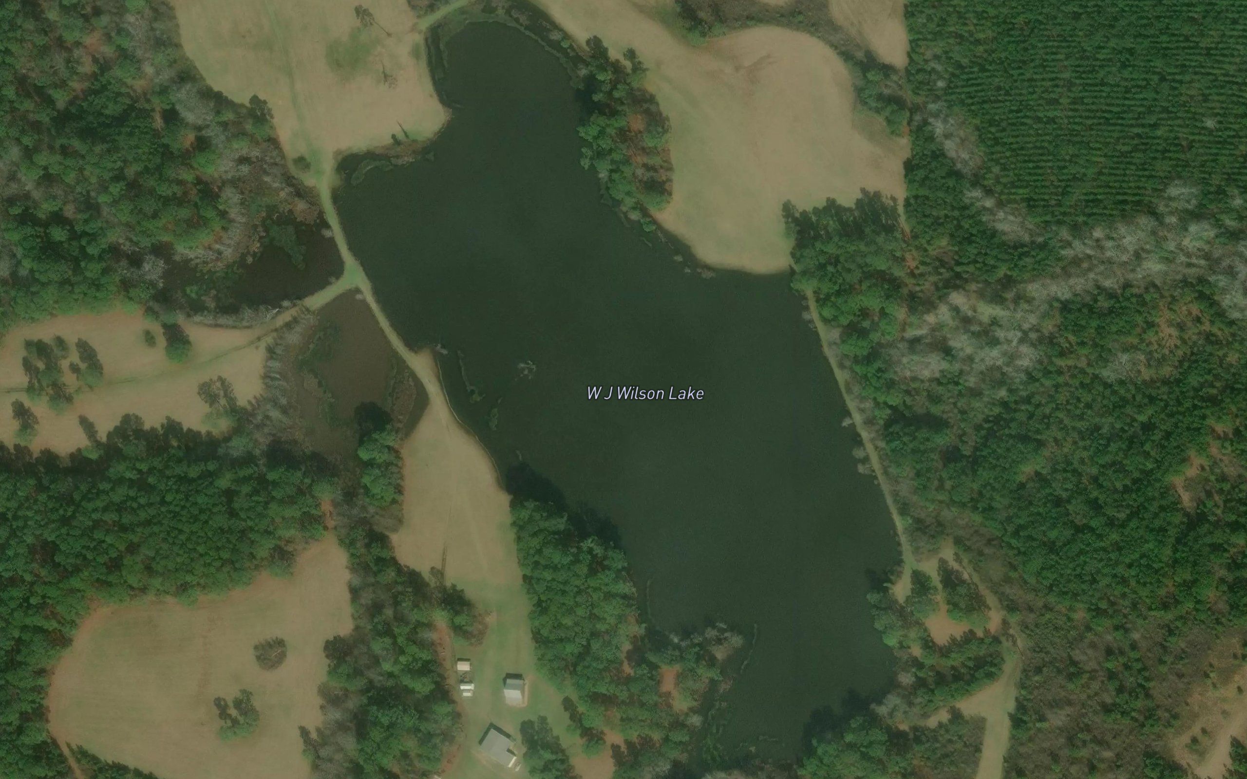W J Wilson Lake