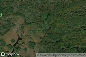 East Branch Mud Brook