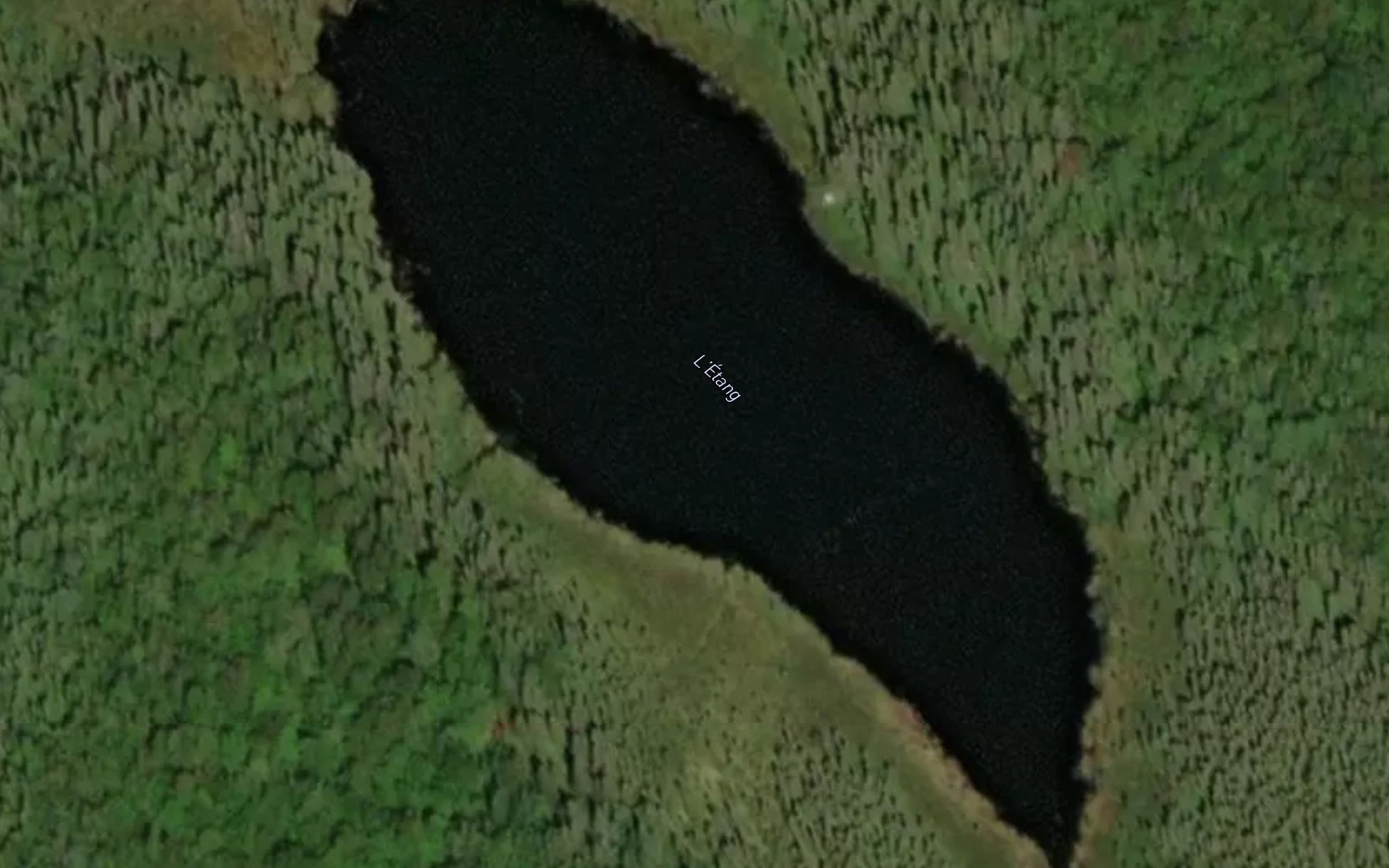 Satellite map of the L'Etang