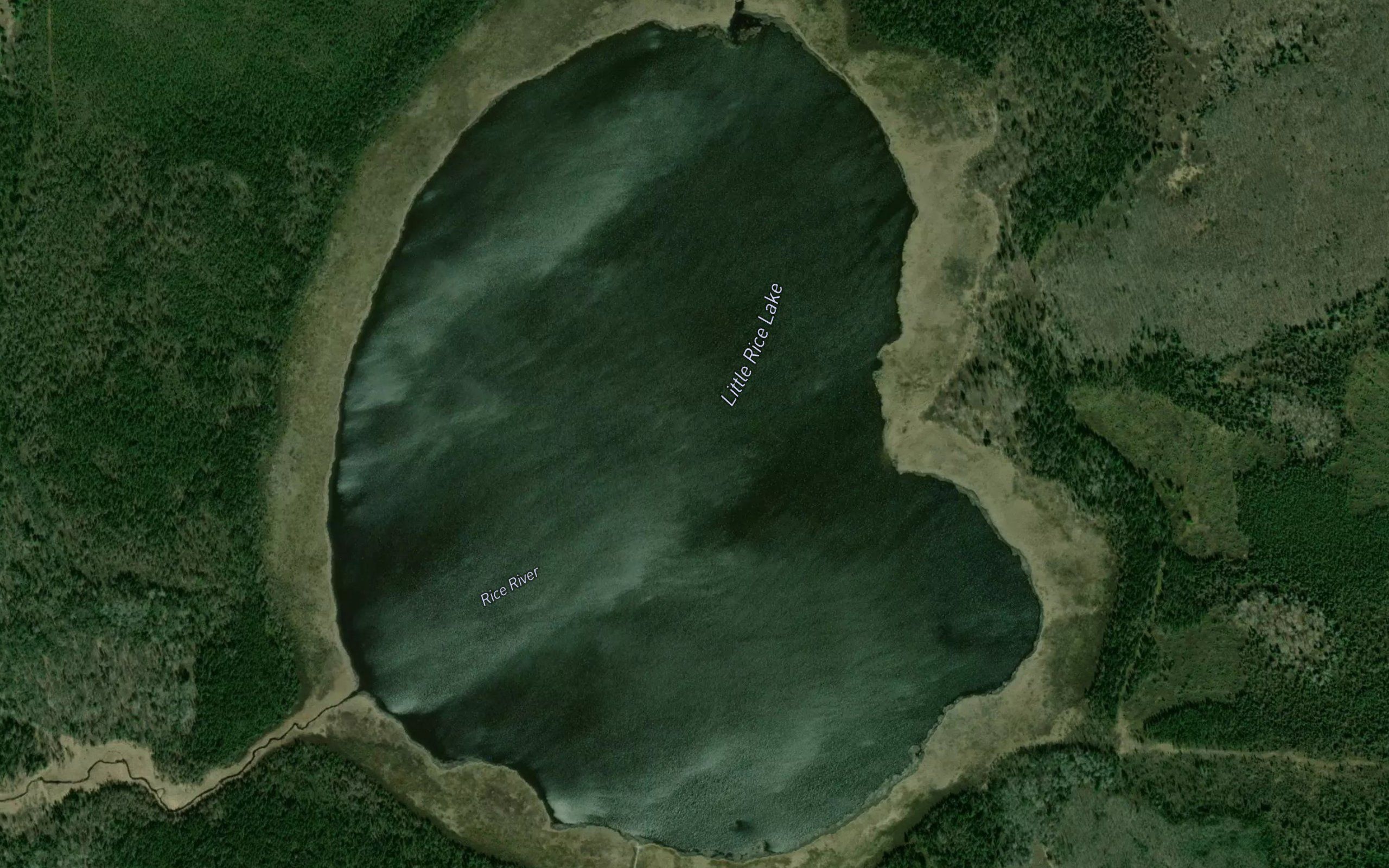 Little Rice Lake