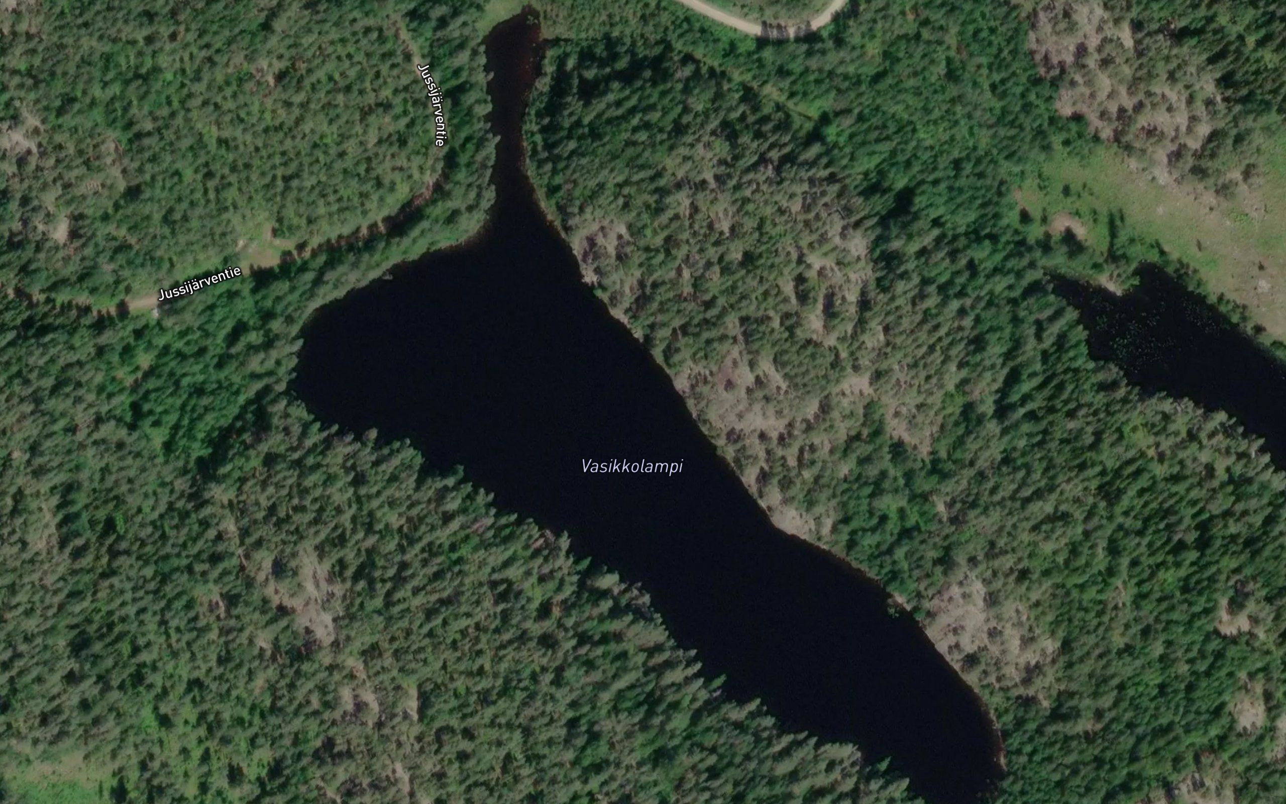 Vasikkolampi