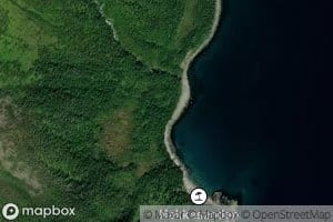 Nakkevika