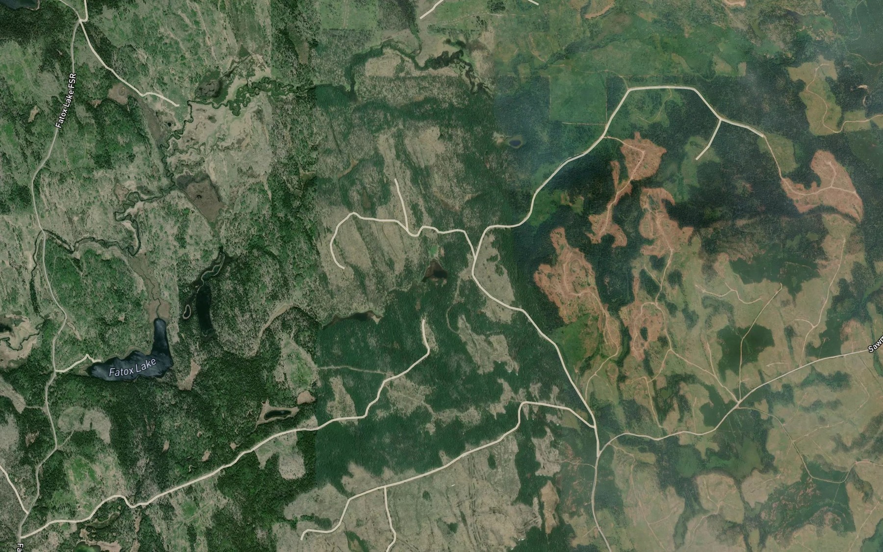 Satellite map of the Sawmill Lake