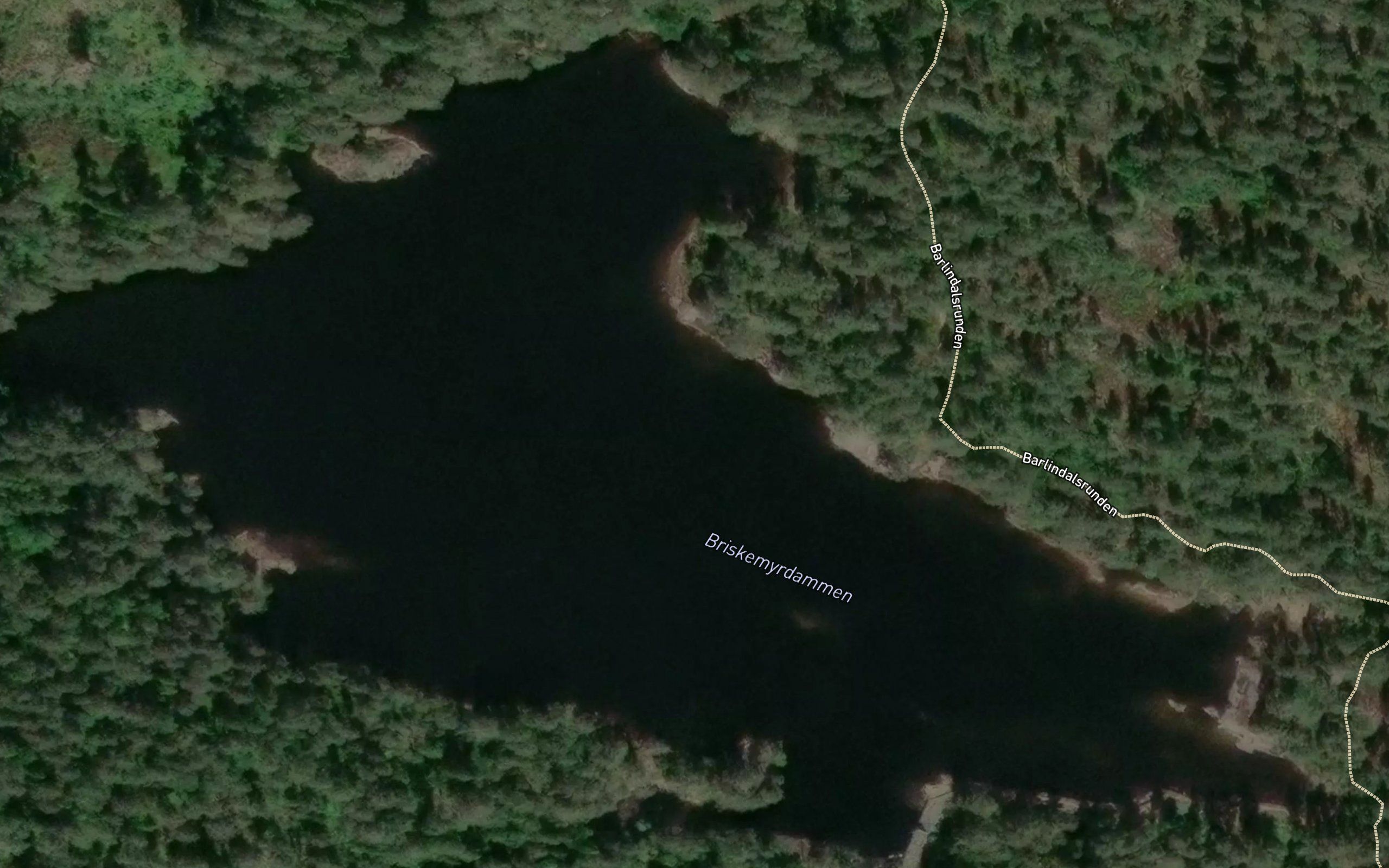 Briskemyrdammen