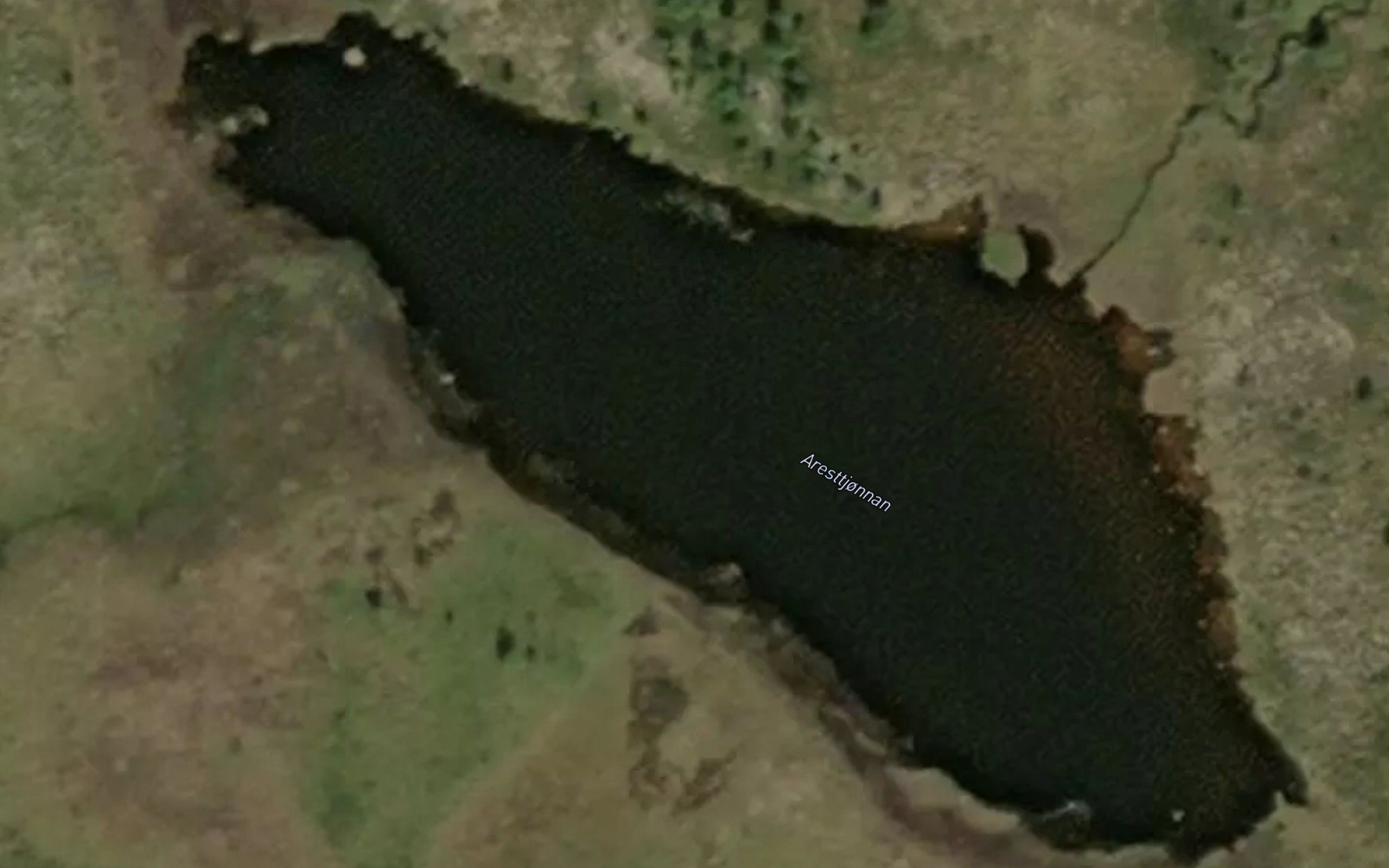 Arentstjornan
