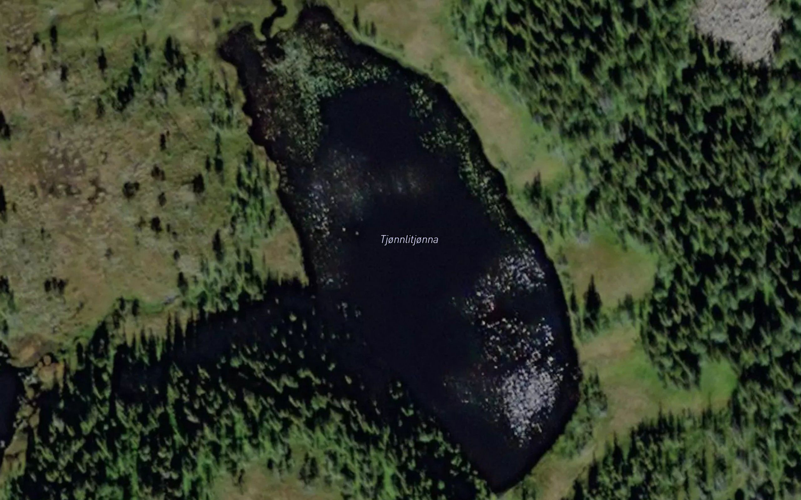Tjornlitjorna