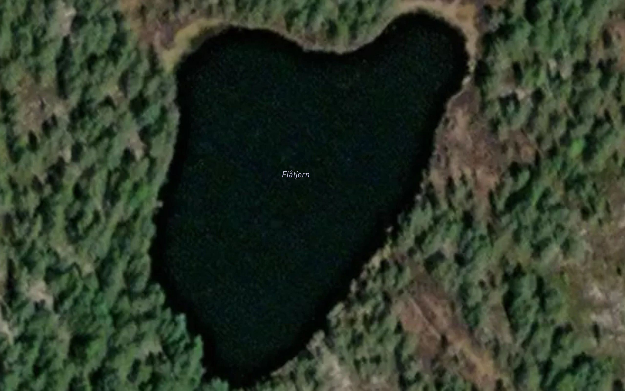 Flatjernet