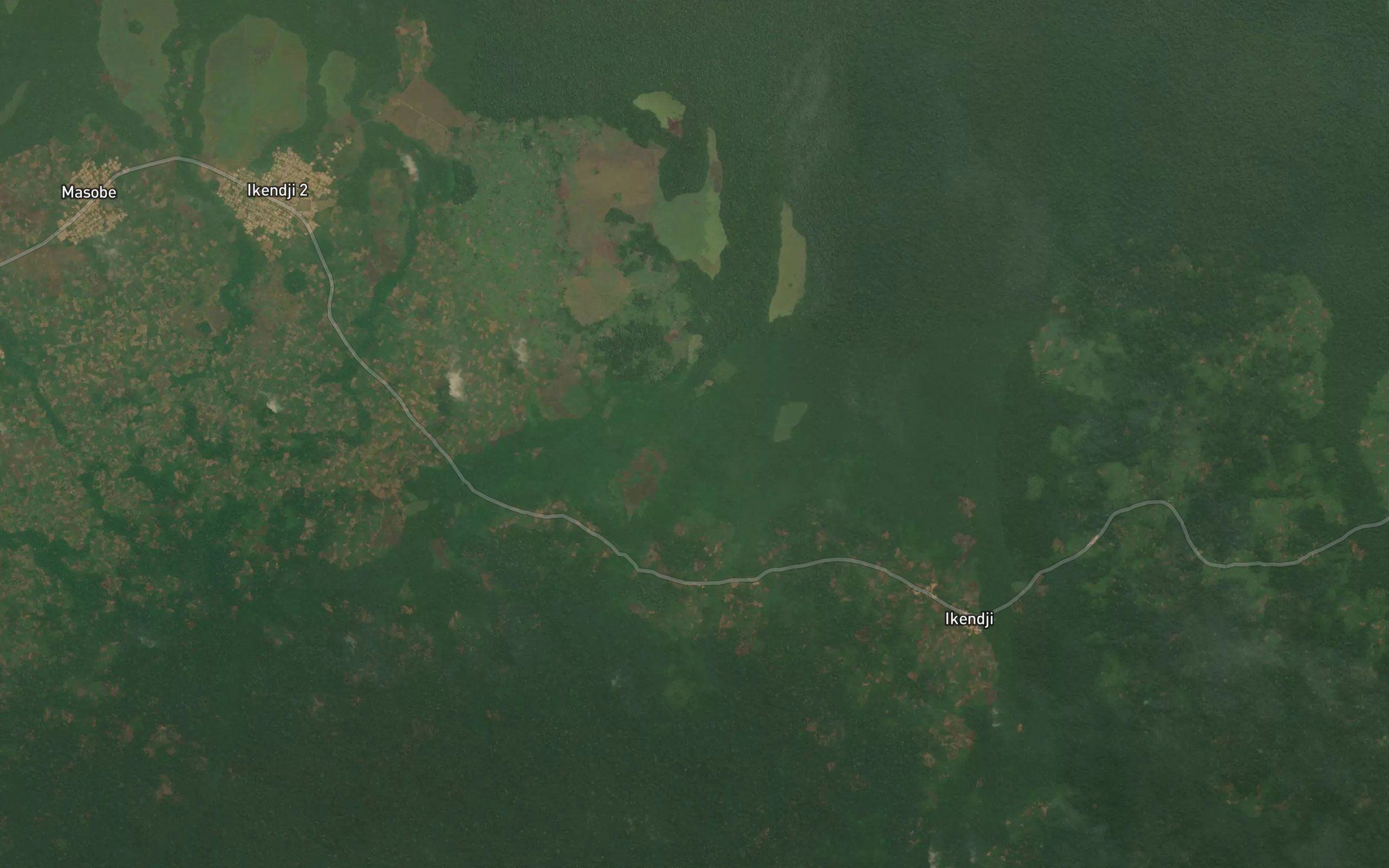 Dibengu