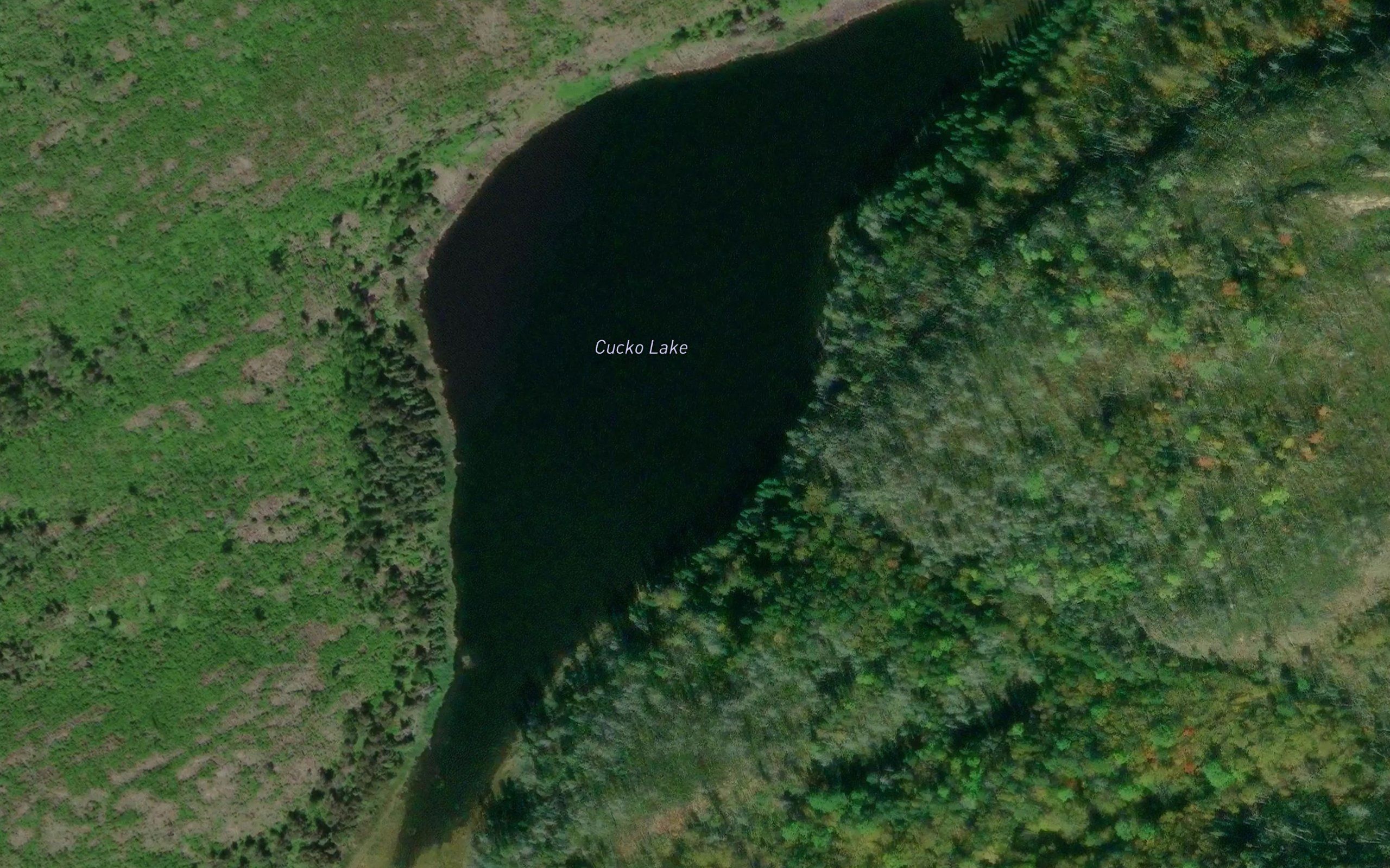 Cucko Lake