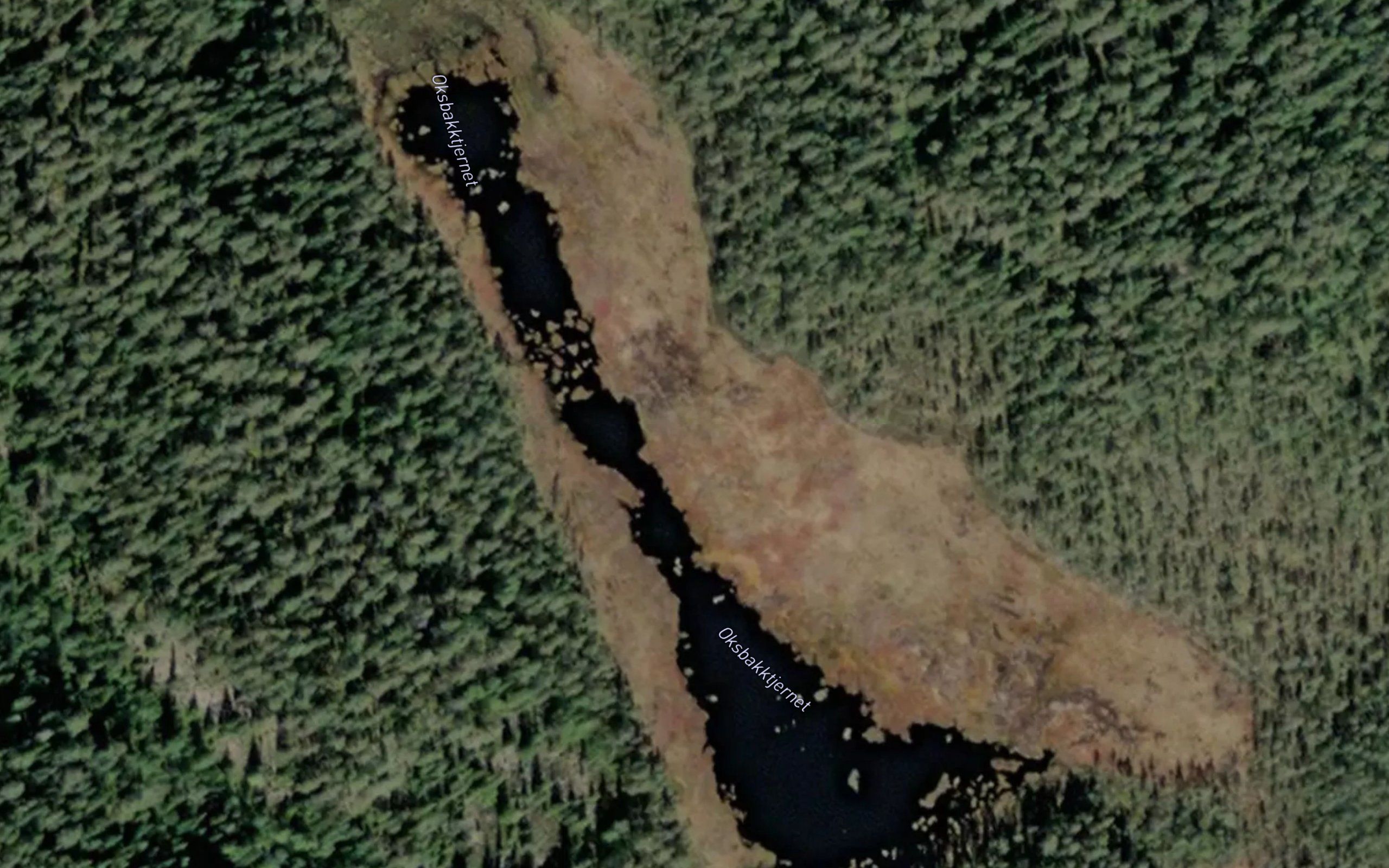 Oksbakktjernet