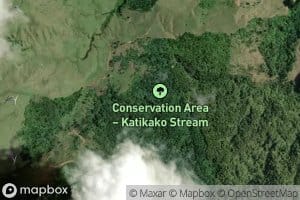Mangataheke Stream
