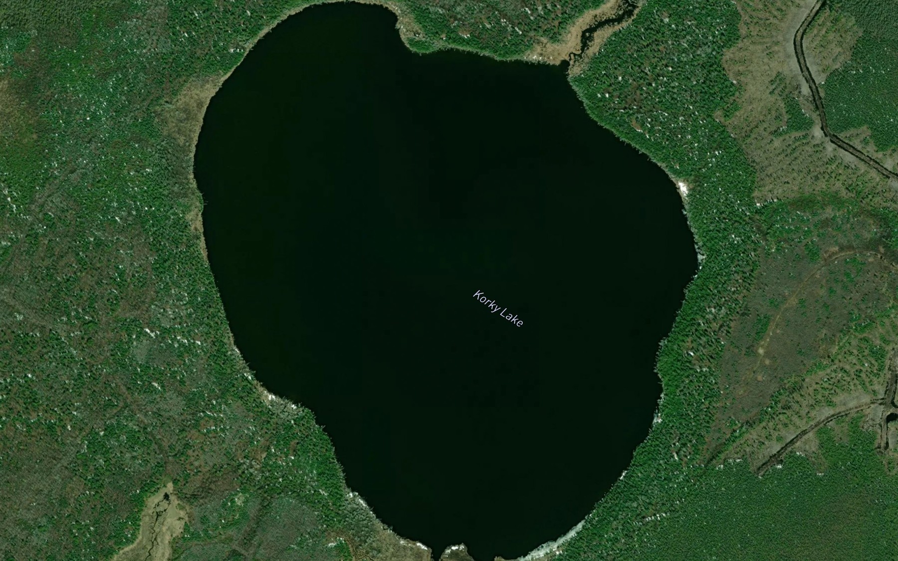 Satellite map of the Korky Lake