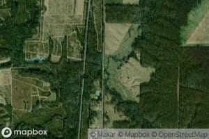 Pickle Creek