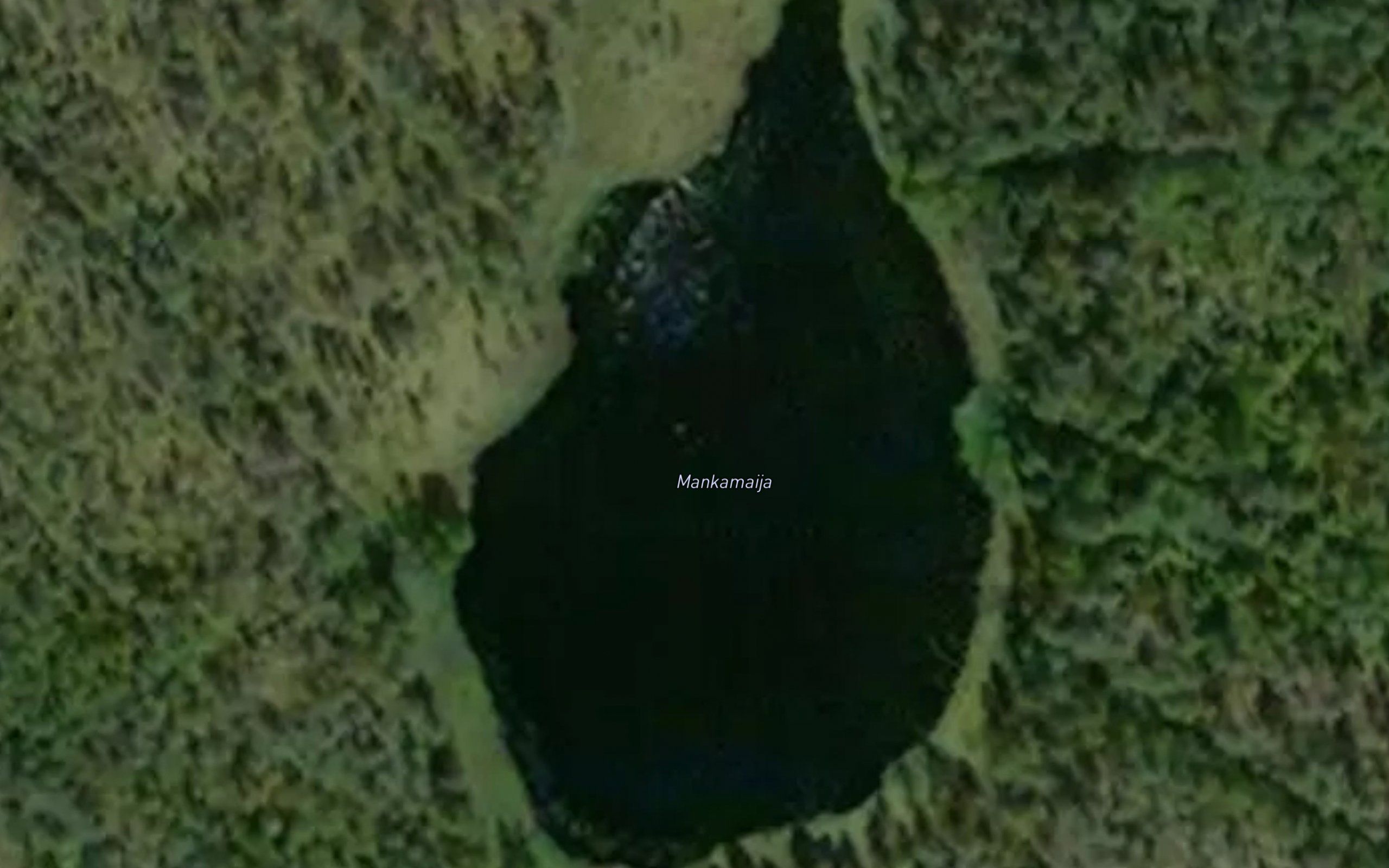 Mankamaija