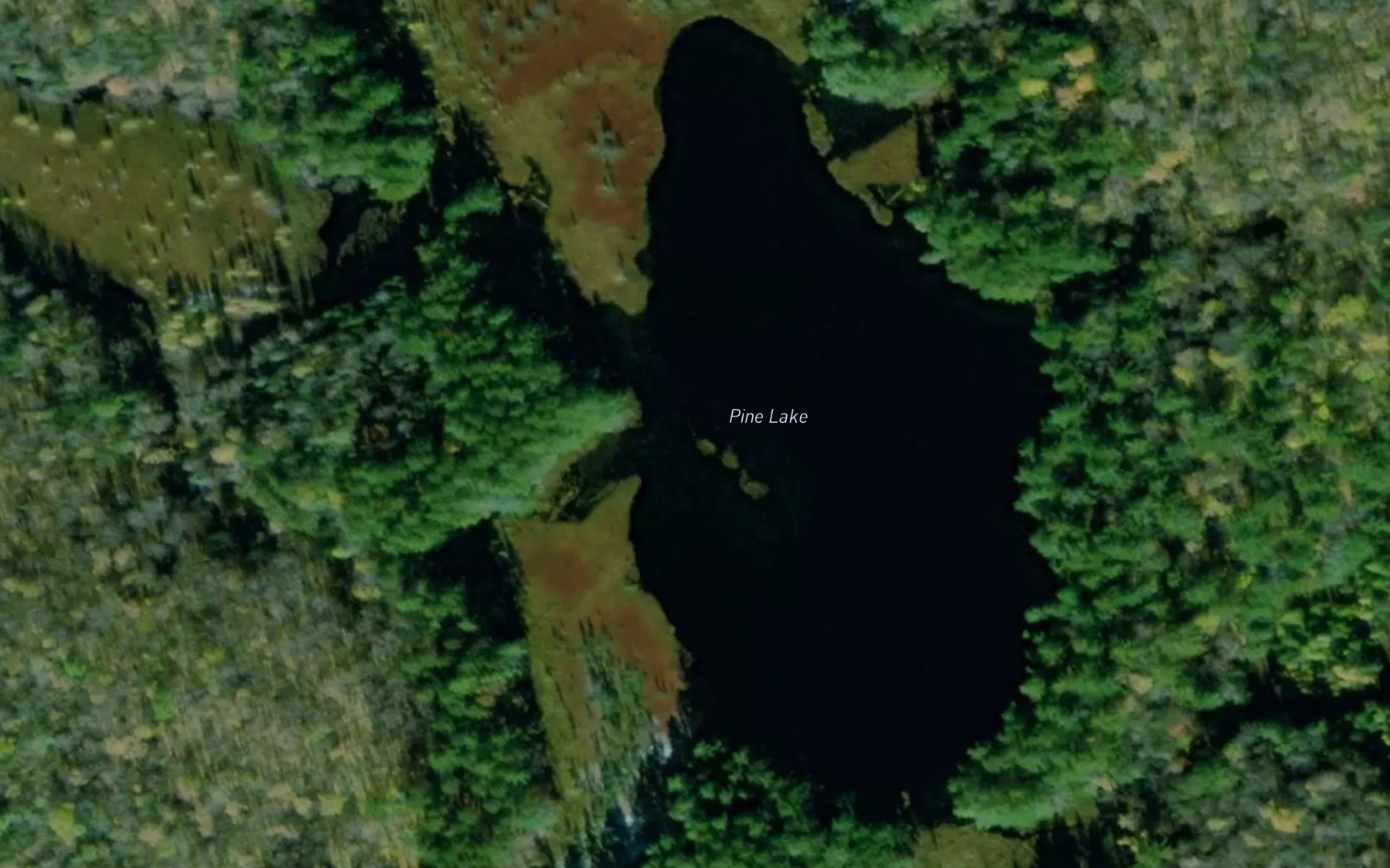Satellite map of the Pine Lake