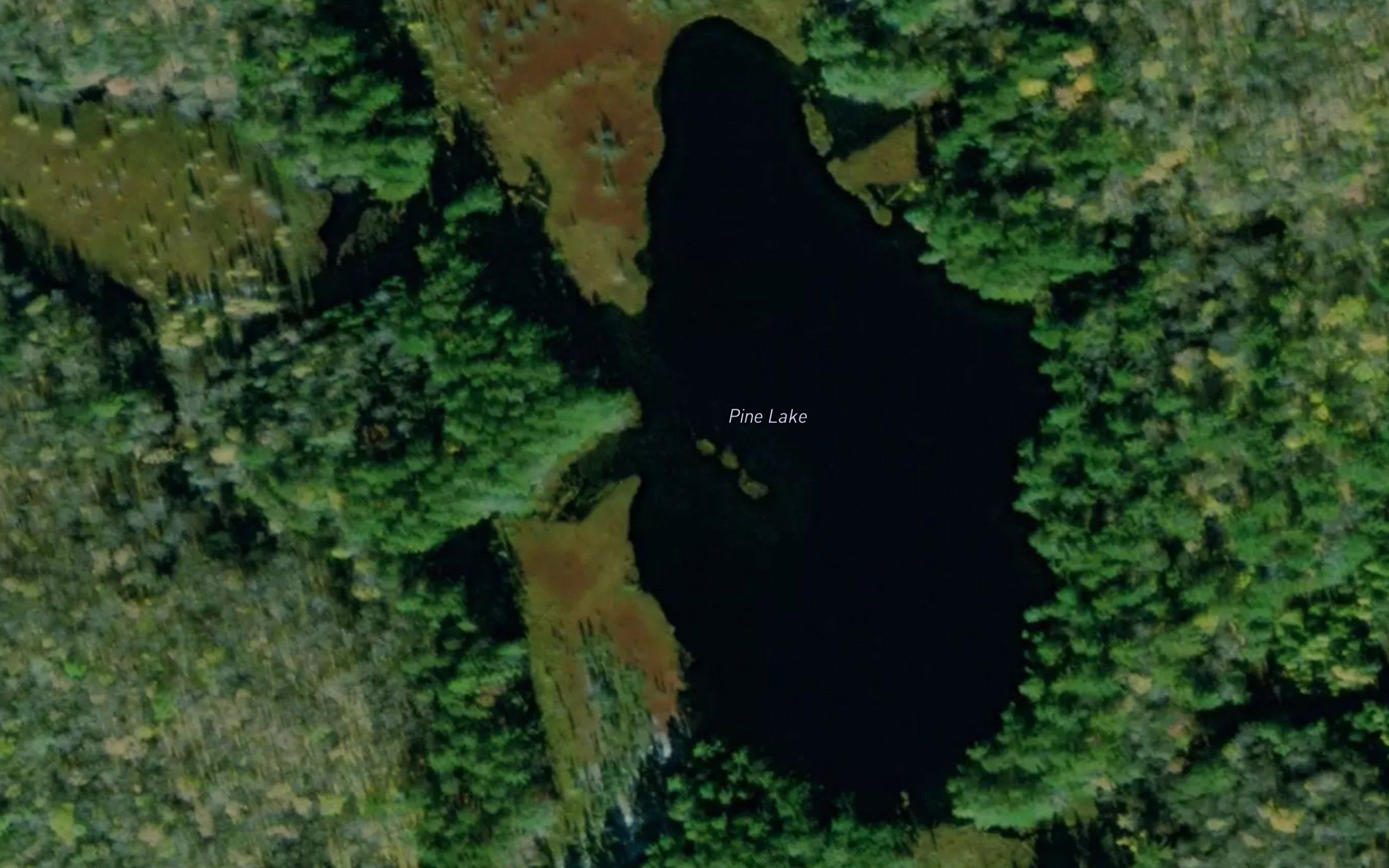 Pine Lake